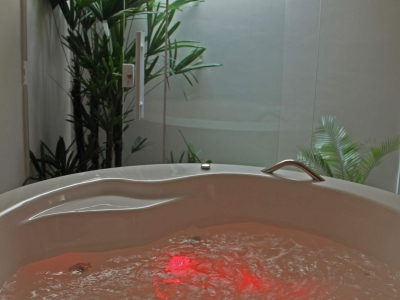 Suíte Acqua do Motel Cisne Blumenau, foto 6